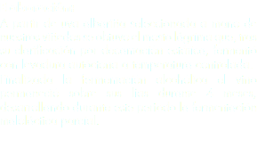 Elaboración: A partir de uva albariña seleccionada a mano de nuestros viñedos se obtuvo el mosto lágrima que, tras su clarificación por decantación estática, fermentó con levadura autóctona a temperatura controlada.
Finalizada la fermentación alcohólica el vino permaneció sobre sus lías durante 4 meses, desarrollando durante este periodo la fermentación maloláctica parcial.
