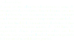 Elaboración: A partir de uva albariña seleccionada a mano de nuestros viñedos se obtuvo el mosto lágrima que, tras su clarificación por decantación estática, fermentó con levadura autóctona a temperatura controlada.
En la fase final de la fermentación alcohólica el vino se trasvasó a barricas nuevas de 500 litros de capacidad, donde permaneció sobre sus lías durante 3 meses, desarrollando durante este periodo la fermentación maloláctica parcial.
